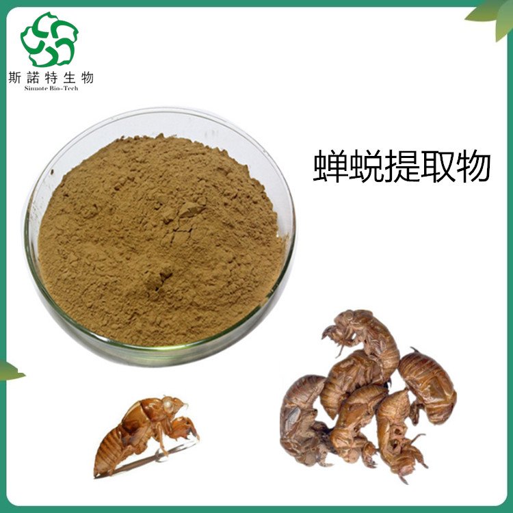 斯诺特 蝉蜕提取物 喷雾干燥 蝉衣粉 不结块 易保存