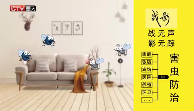 视频