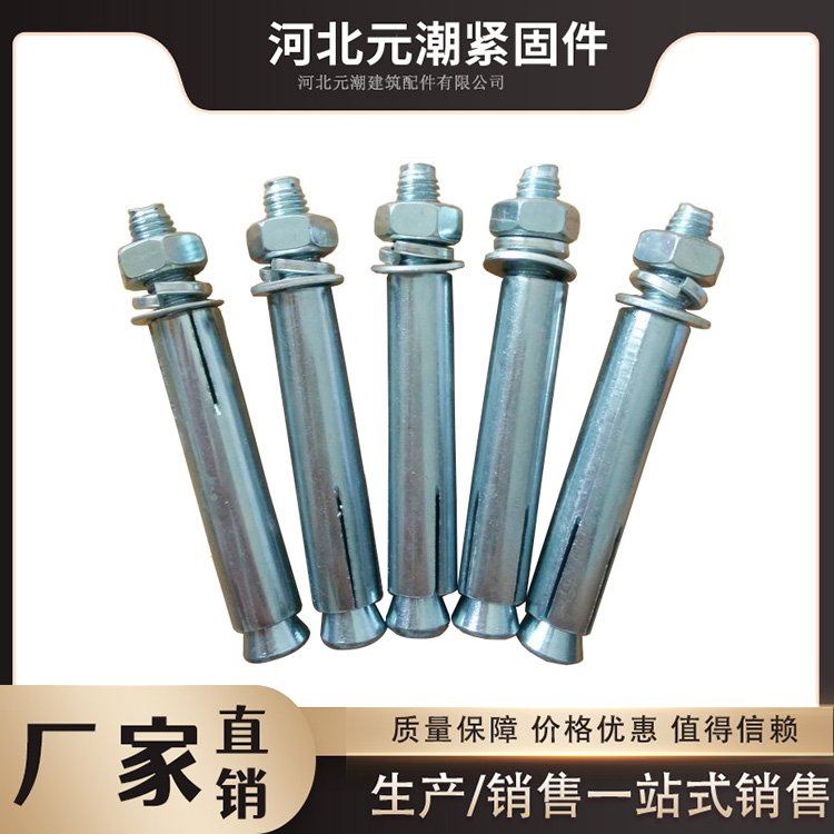 膨胀螺栓电镀蓝白热浸锌热镀锌 加长大小头膨胀螺丝m8个10个