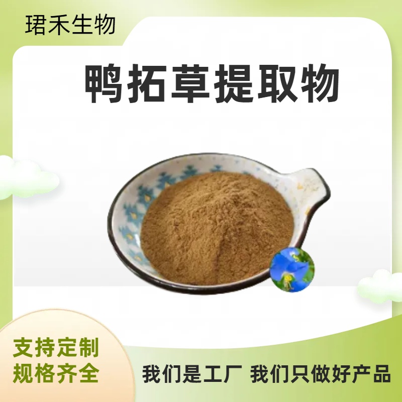 鸭拓草提取物10:1 水溶性竹叶菜提取物 浸膏粉 喷雾干燥工艺 可定制