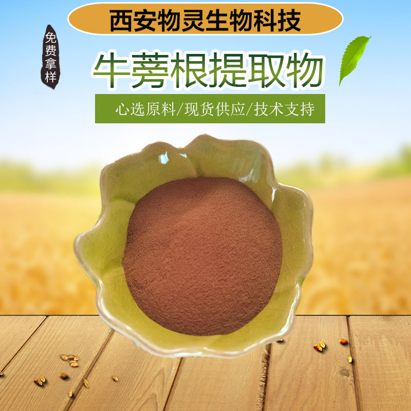 物灵生物 牛蒡根提取物 牛蒡根多糖萃取原料浓缩粉 多种规格 资质齐全