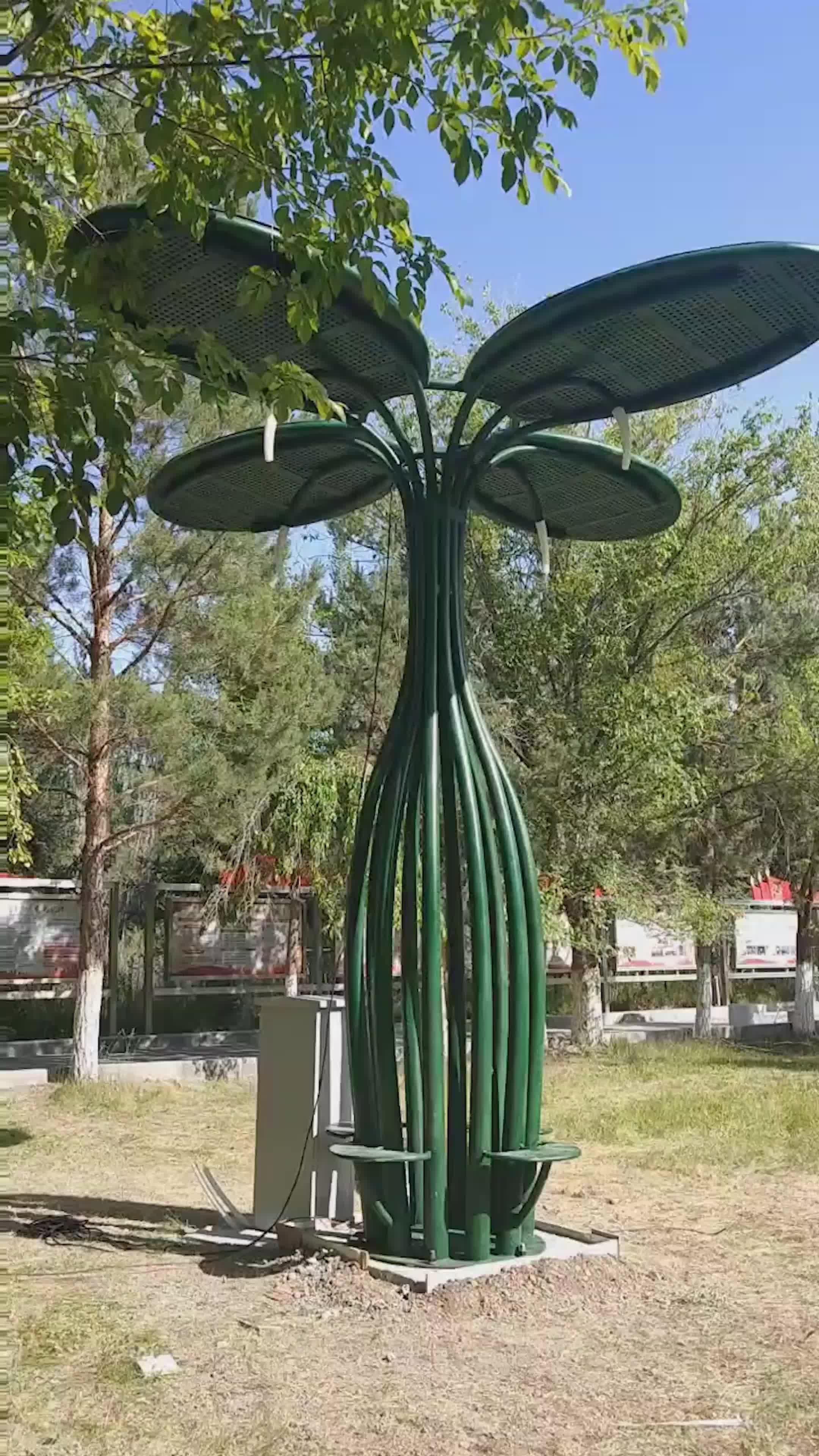 视频