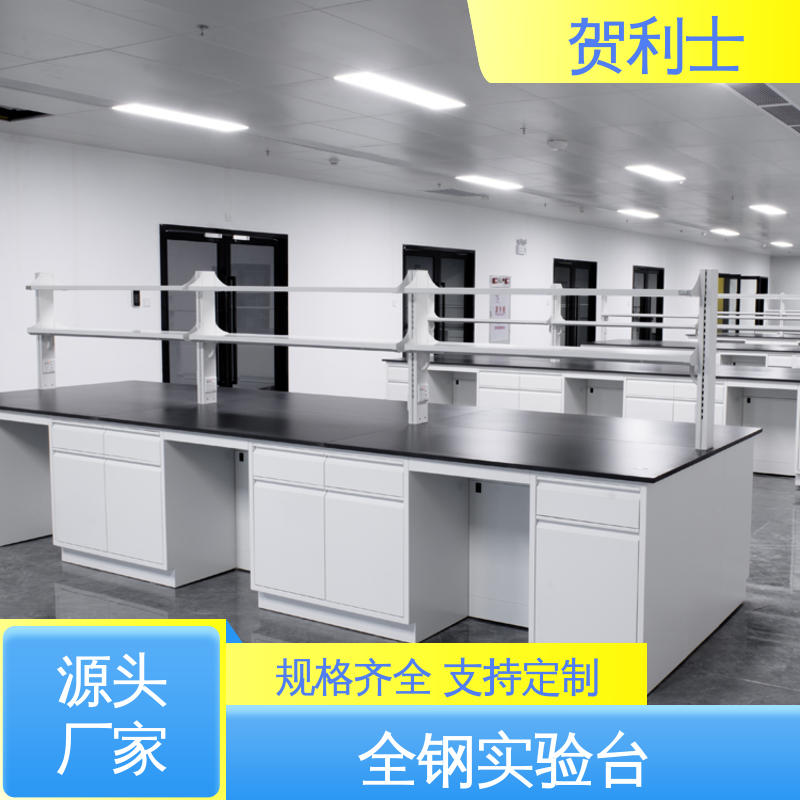 厂家供应 耐高温 全钢实验台定做 科研院校制药用 支持定制
