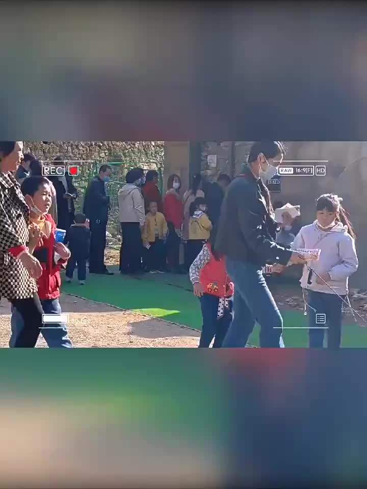 视频