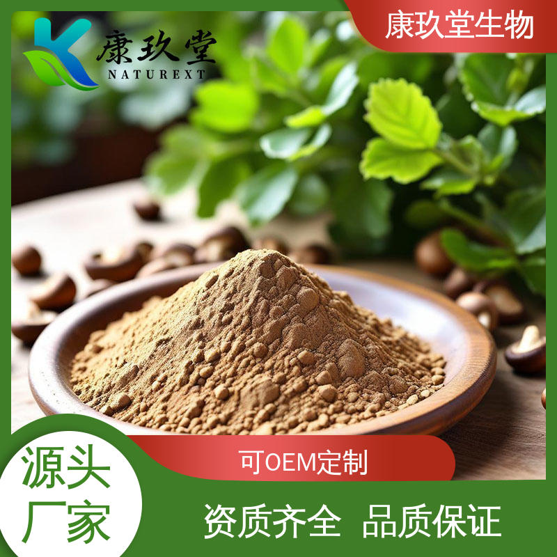 植物提取物 Shiitake Mushroom Extract 资质齐全 25公斤/桶 康玖堂