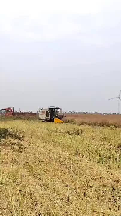 视频