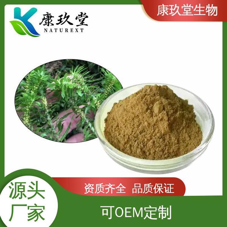 康玖堂 棕色粉末 资质齐全 1%石杉碱甲 植物提取物
