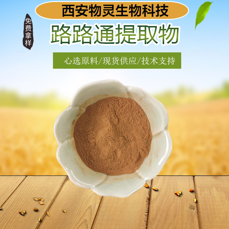 路路通提取物 枫香果水提浓缩粉 多种规格 质量稳定 植物原料