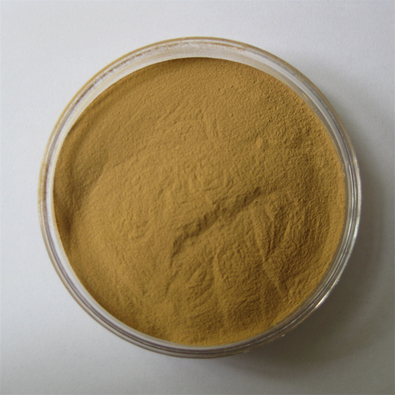 刺五加原料粉 一百针粉末 60-80目 开普勒生物 支持样品