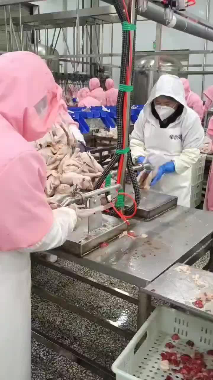 视频
