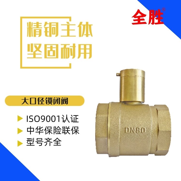 大口径锁闭阀 精铜主推坚固耐用 全胜阀门 DN65DN80DN100