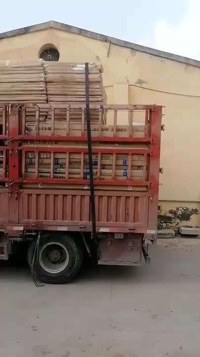 视频
