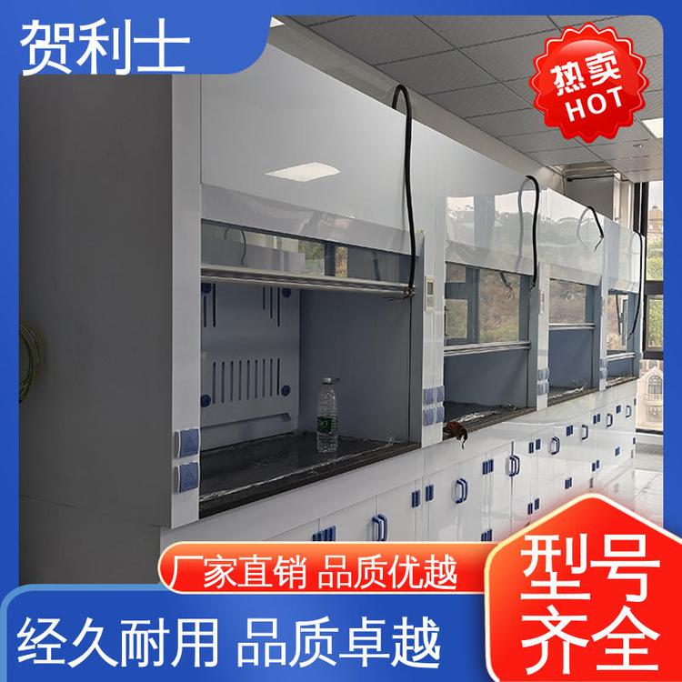 耐酸碱 防尘防静电 PP排风柜 坚实耐用 匠心打造 贺利士