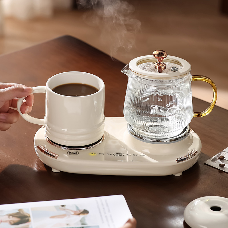 女士一人养生杯养生壶玻璃0胶水办公室用全自动小型煮茶壶水果茶