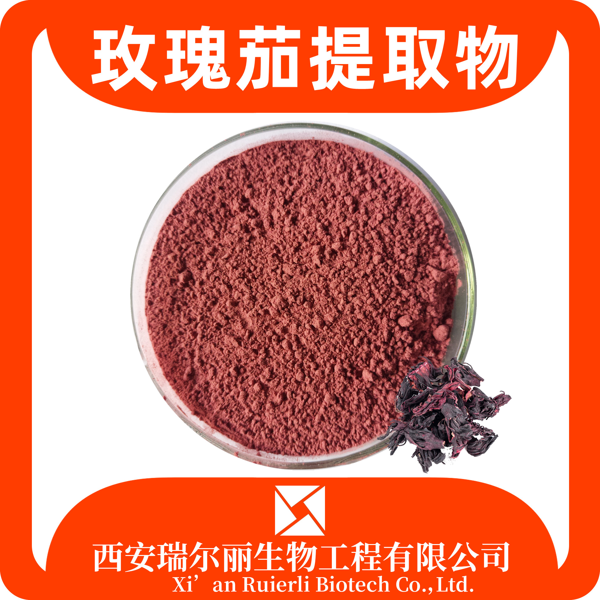 玫瑰茄提取物10：1 玫瑰茄青素 洛神花粉 SC证 可定制 瑞尔丽生物