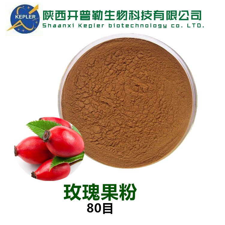 玫瑰果提取物 玫瑰果粉 玫瑰果多酚 玫瑰果浓缩萃取