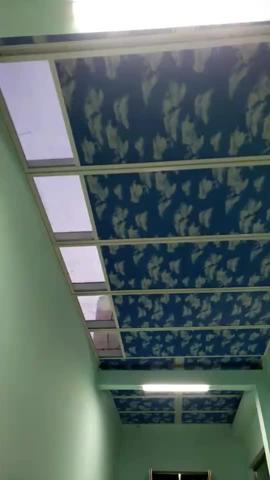 视频