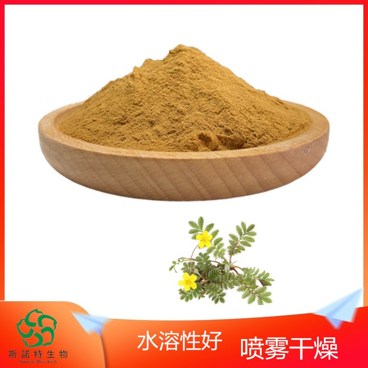 委陵菜提取物 斯诺特 水溶性 精细粉末 铝箔或纸板桶包装