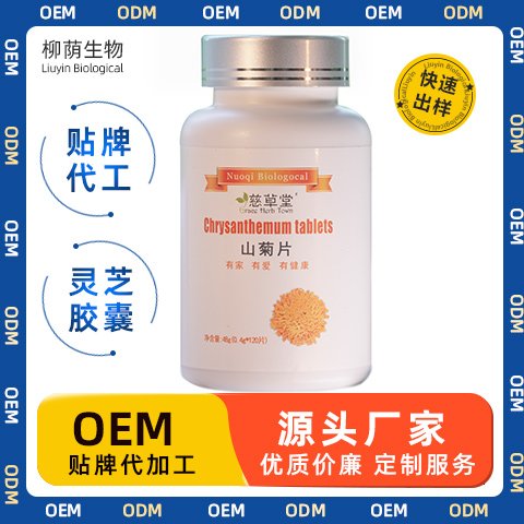 山菊片 oem/odm代加工 山菊提取物 可贴牌 植物提取物粉