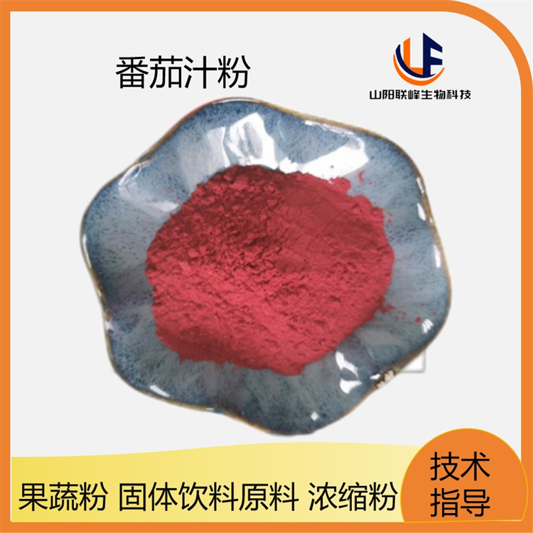 番茄提取物10：1 西红柿果汁粉 番茄浓缩粉 西红柿提取物