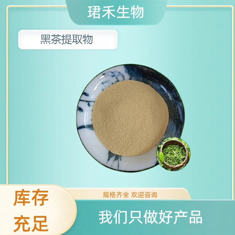 珺禾 1kg起定 黑茶提取物 10:1水溶 食品级 茶多酚 速溶黑茶粉