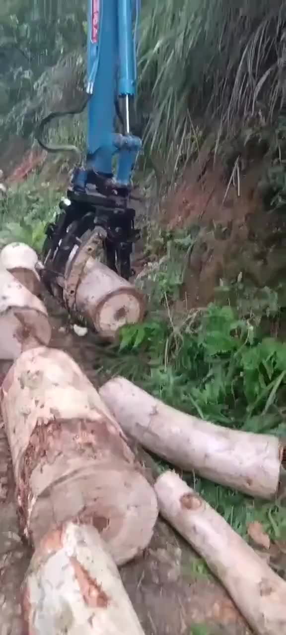 视频