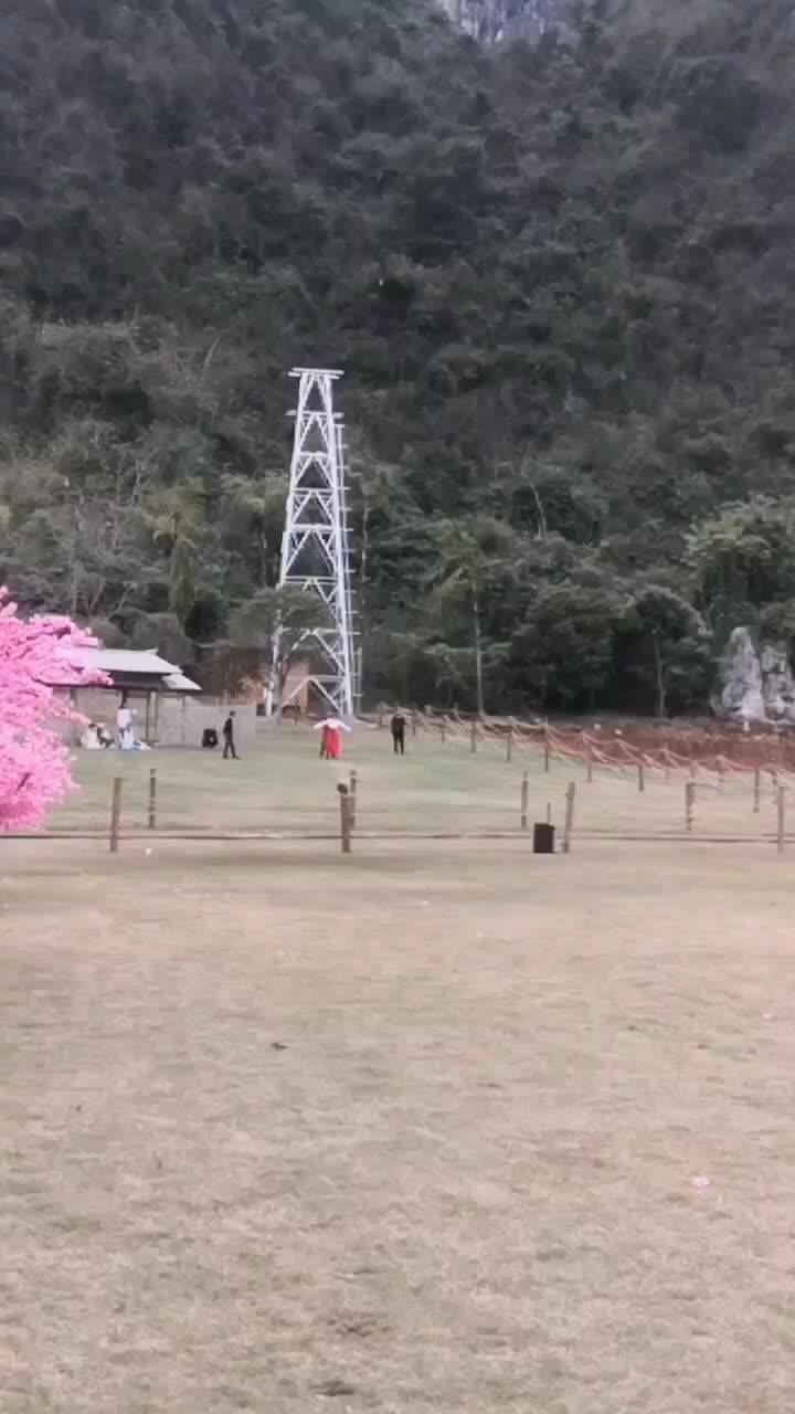视频