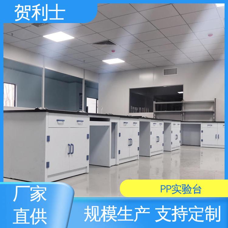 PP实验台柜 实验室边台 适用于医疗卫生 按需定制加工 贺利士