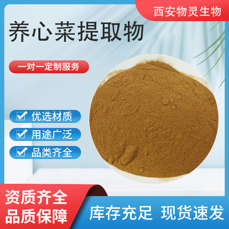 养心菜提取物 水溶救心菜粉 速溶浓缩浸膏粉 喷雾干燥 食品级