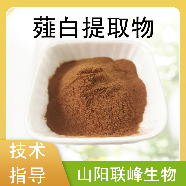薤白提取物 10：1薤白浓缩粉 小蒜粉 食品级 植物提取原料 1公斤/包