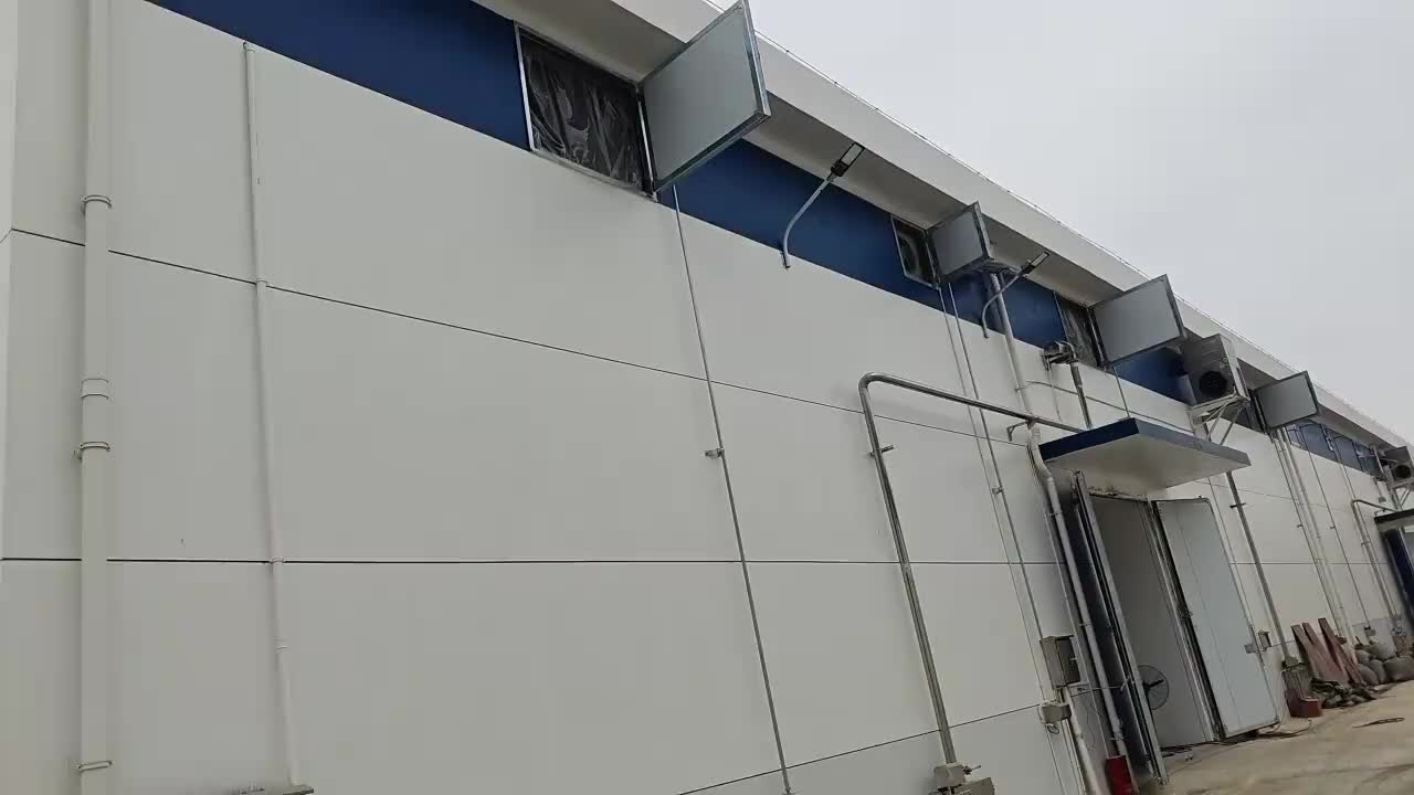 视频