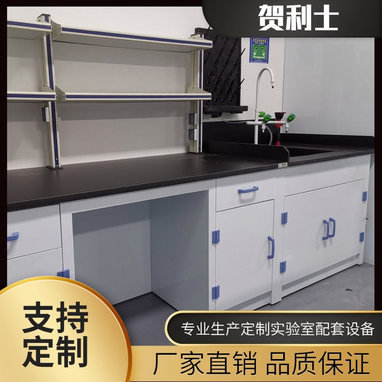 贺利士可定制钢木实验室工作台 化验室全钢边台试验操作台