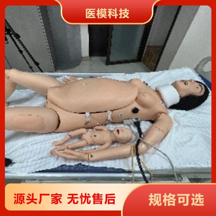 全自动高级智能母子分娩教学系统 使用方便 妇科医用教学假人