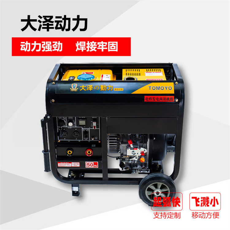 大泽动力190A双工位发电电焊机 柴油发电机组 双焊钳 电启动一机多用