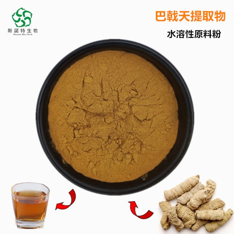 斯诺特 巴戟天粉 提取物 水溶性好 包装灵活 货源稳定
