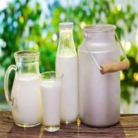 卓牧乳业