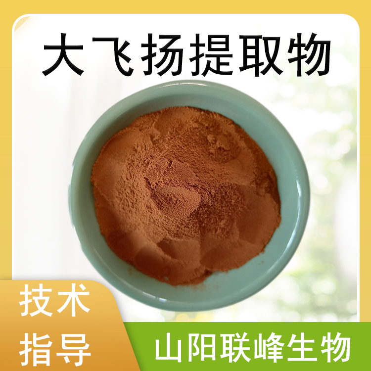 食品级大飞扬提取物 10：1水溶浓缩浸膏 粉 喷雾干燥萃取 1公斤/包