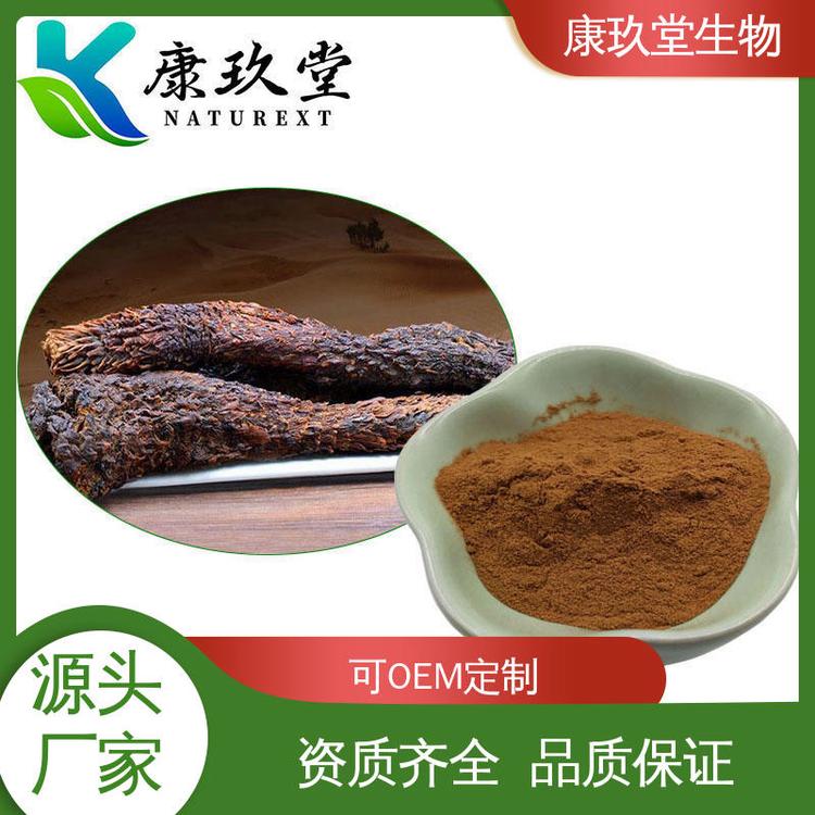 棕色粉末 Cistanche Extract 设备先进 植物提取物 康玖堂