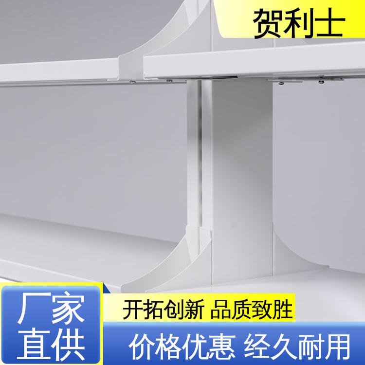 贺利士 防静电 全钢实验室 性能优越 匠心优选 多年经验
