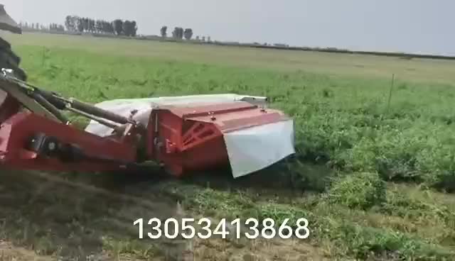 视频