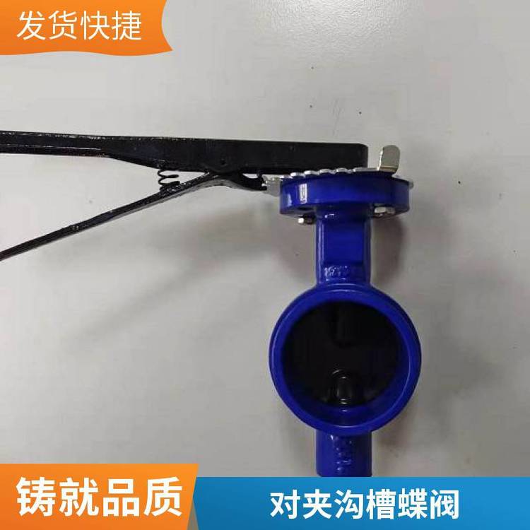 塘业沟槽手柄蝶阀球墨铸铁材质 DN50-300消防专用阀门
