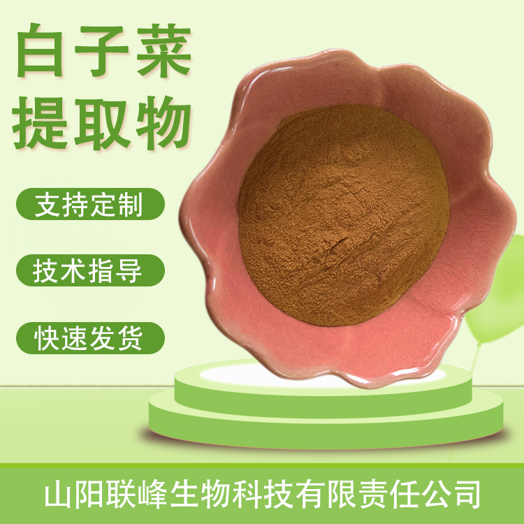 联峰生物 白子菜提取物 20:1 高比例产品 白背三七 白子菜粉 质量稳定