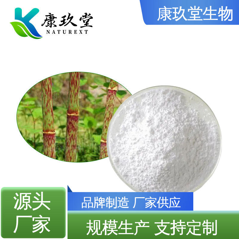 康玖堂 资质齐全 25公斤/桶 虎杖植物提取物 生产厂家
