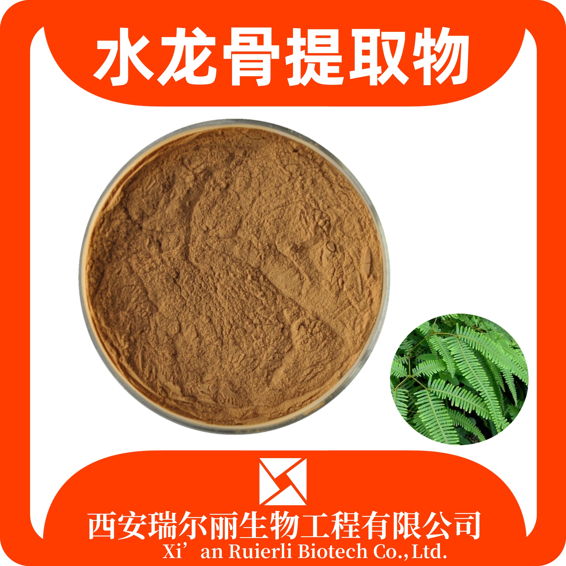 水龙骨提取物10:1水溶水龙骨粉 速溶浓缩粉 比例萃取 SC证瑞尔丽生物