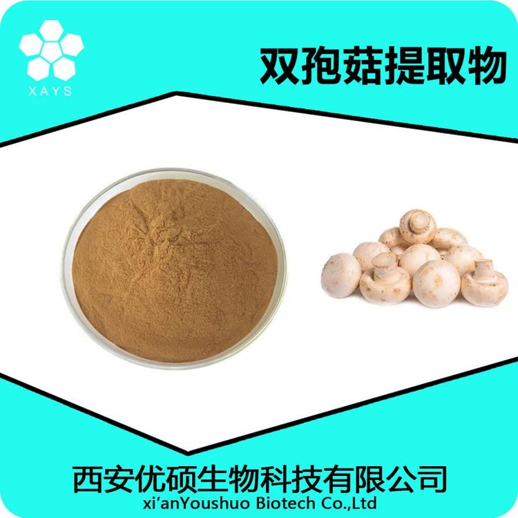 双孢菇提取物 水溶双孢菇粉 浓缩粉 可塑性高 应用领域广泛 优硕生物