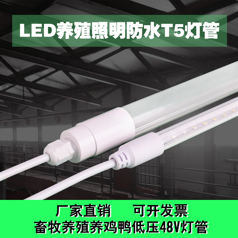 养殖专用照明灯防水T5灯管畜牧养殖养鸡鸭低压DC48V可调光