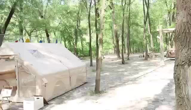 视频