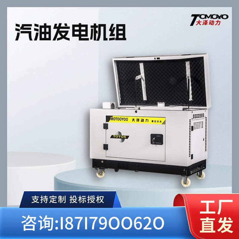 低温启动5KW汽油发电机组 大泽动力TOTO5 单三相220V 防尘防雨型