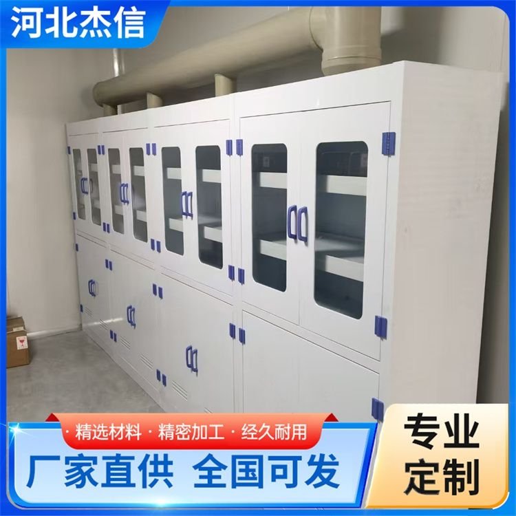 设计pp试剂柜 杰信 化学实验室存储柜 全国可发 标准国标