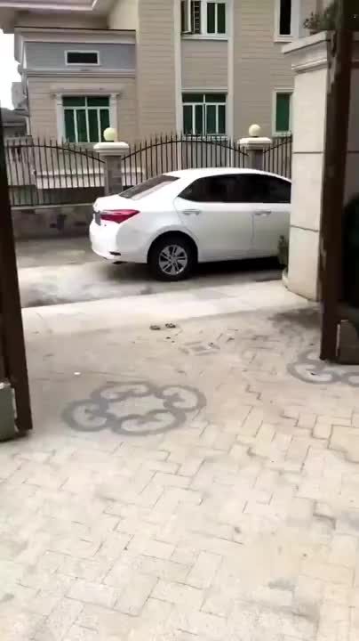 视频